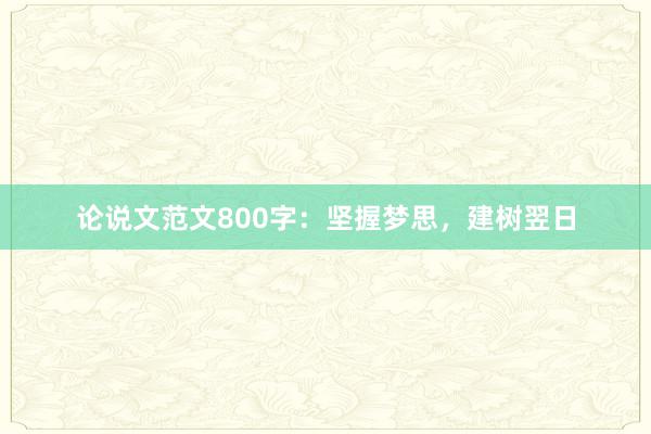 论说文范文800字:坚握梦思,建树翌日